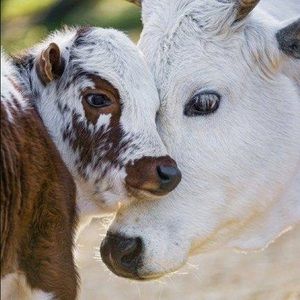 Meet your Posher, Tabatha